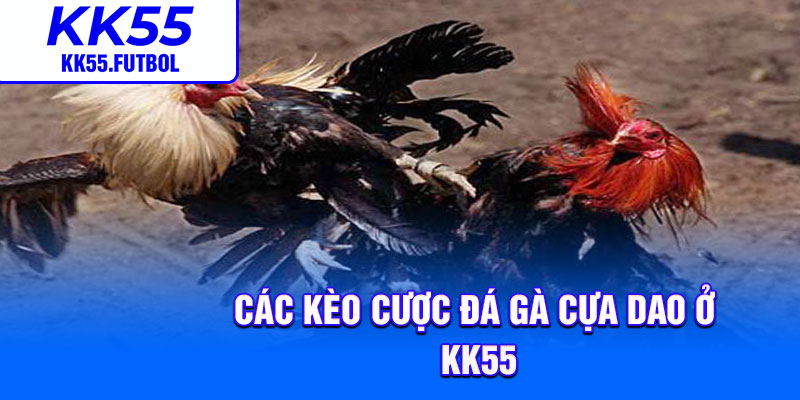 Các kèo cược đá gà cựa dao ở KK55