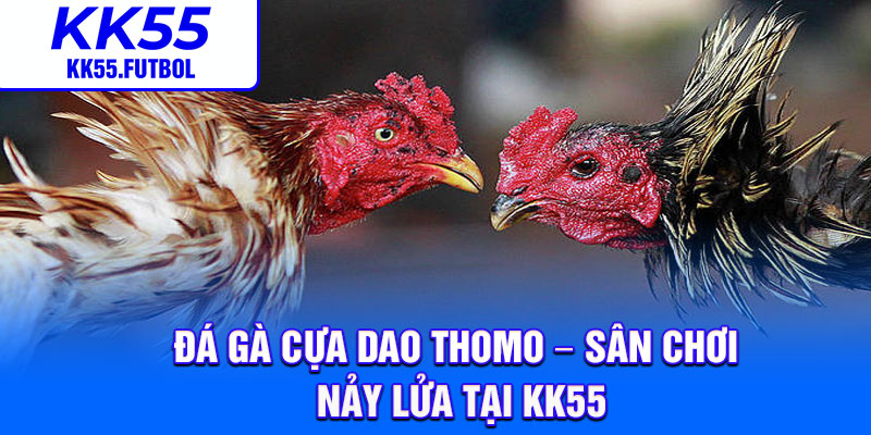 Da Ga Cua Dao Thomo – San Choi Nay Lua Tai KK55