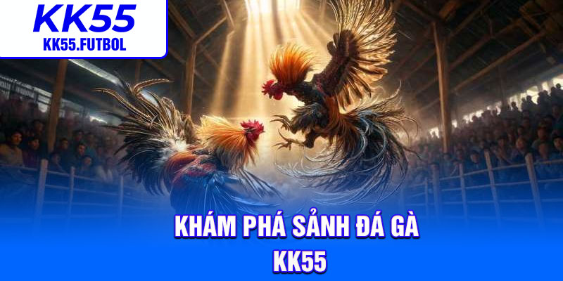 Khám phá sảnh đá gà KK55