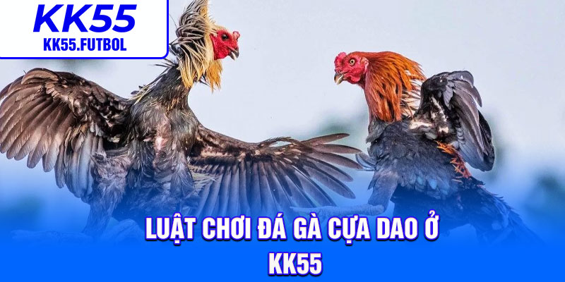 Luật chơi đá gà cựa dao ở KK55