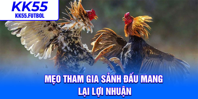Mẹo tham gia sảnh đấu mang lại lợi nhuận